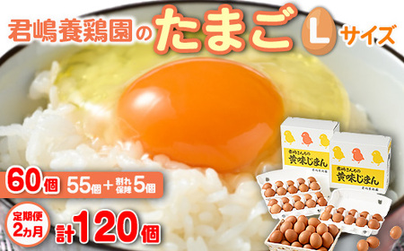 【2か月定期便】君嶋養鶏園のたまご Lサイズ 60個（55個＋割れ補償5個）×2ヶ月 計120個 | 定期便 2ヶ月 2か月 2ヵ月 卵 玉子 たまご 赤卵 赤たまご 生卵 国産 濃厚 鶏卵 コク 旨味