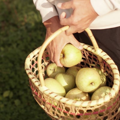 【産地直送】王林 贈答用 3kg(7～10個)【配送不可地域：離島・沖縄県】