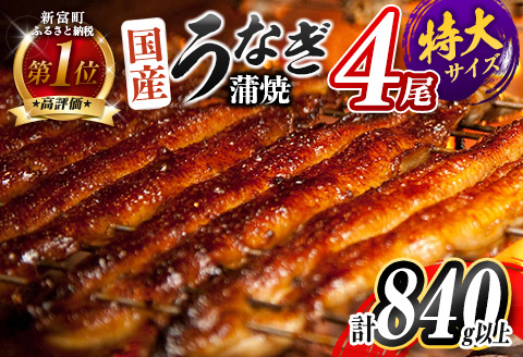 特大 うなぎ 鰻楽 国産 4尾 計840g以上 蒲焼 無頭 冷凍 個包装 贈答品 ギフト 数量限定 ※2026年8月お届け【C388-840-2608】
