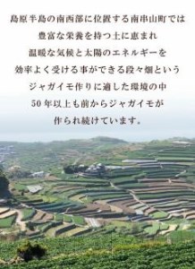 【期間限定発送】 じゃがいも なんぐしデジマ 秋作 10kg [なんぐしデジマプロジェクトチーム 長崎県 雲仙市 item2164] ジャガイモ 野菜 デジマ 10キロ 秋じゃが