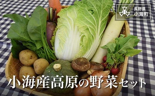 
小海産高原の野菜セット［農産物加工直売所］
