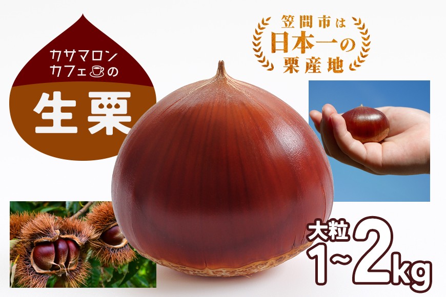 
            【2025年 秋 出荷】生栗 選べる内容量 1kg×1～2袋 1kg～2kg 特大 サイズ 3L 以上 大粒 大きい 数量限定くり クリ 笠間の栗 栗ごはん カサマロン 国産  先行予約 モンブラン 栗きんとん 冷蔵 笠間市
          
