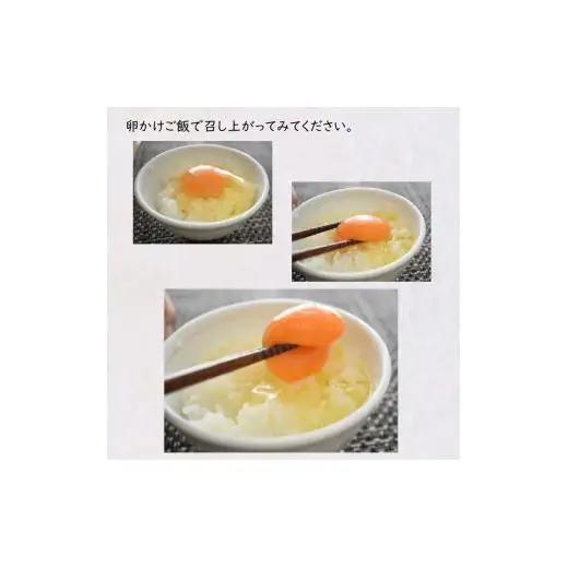 【定期便６か月】卵 30個 新鮮たまご 産卵後2日以内 10個×3箱 2L L ミックス 養鶏場直送 