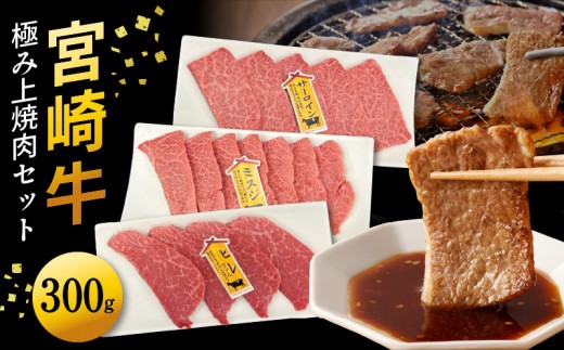
                  宮崎牛極み上焼肉セット 合計 300g　N0140-YB362
                