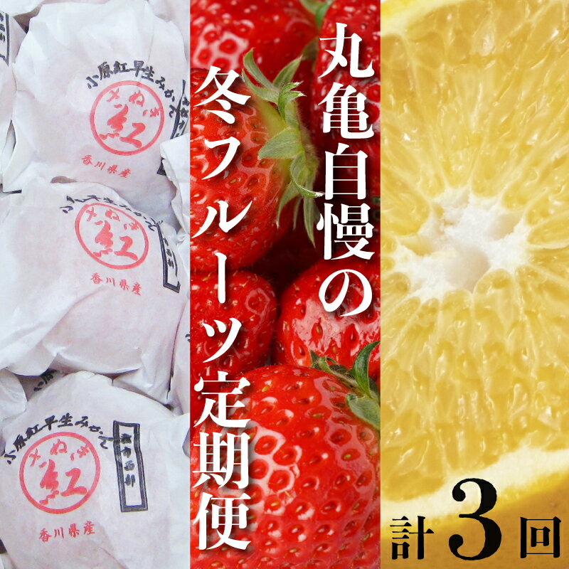 【ふるさと納税】 【冬の定期便3回】丸亀自慢のフルーツ【離島エリア配送不可】 果物類 いちご 苺 イチゴ みかん 越冬さぬき紅みかん さぬきひめ はっさく フルーツ 香川県 丸亀市