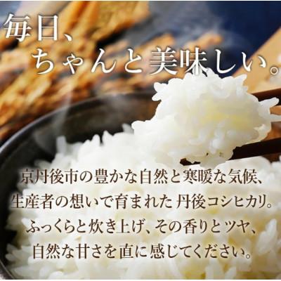 ふるさと納税 京丹後市 【先行予約】2026年産 京丹後産コシヒカリ 玄米5kg |  | 01