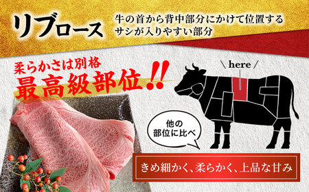 飛騨牛 A5ランク リブロース すきやき用 600g【有限会社マルゴー】土岐市 岐阜産 肉 お肉 牛肉 国産 和牛 牛肉 A5等級 霜降り すきやき スキヤキ しゃぶしゃぶ とろける 冷凍 保存 高級