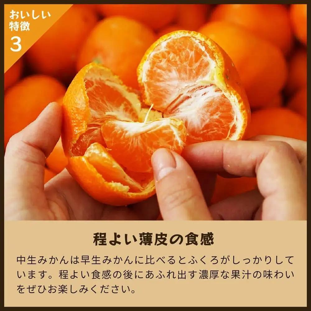 蔵出しみかん中生　5kg家庭用｜和歌山県海南市下津町の特産品蔵出しみかんの中生品種を産地直送でお届け【2027年1月発送開始】