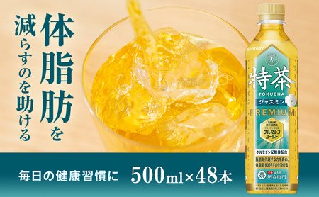 お茶 特茶 ジャスミン 500ml 48本 2ケース お茶