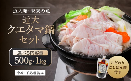 
                  【選べる内容量・配送時期】近大クエタマ鍋セット （500g or 1kg）
                