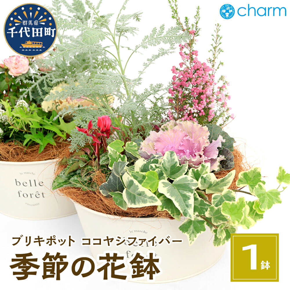【ふるさと納税】季節の花鉢 ブリキポット ココヤシファイバーVer . (1鉢)群馬県千代田町 花苗 インテリア ナチュラル かわいい リラクゼーション 室内栽培 プレゼント ギフト お祝い 送料無料 趣味 ライフスタイル 人気 オススメ 初心者 キッチン 株式会社チャーム
