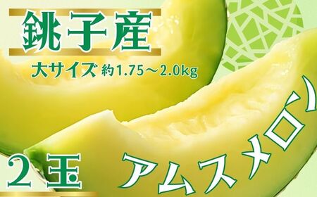 アムスメロン 2玉 大サイズ (1玉約1.75〜2.0kg未満) アムスメロン メロン 千葉県 銚子市 弥兵衛