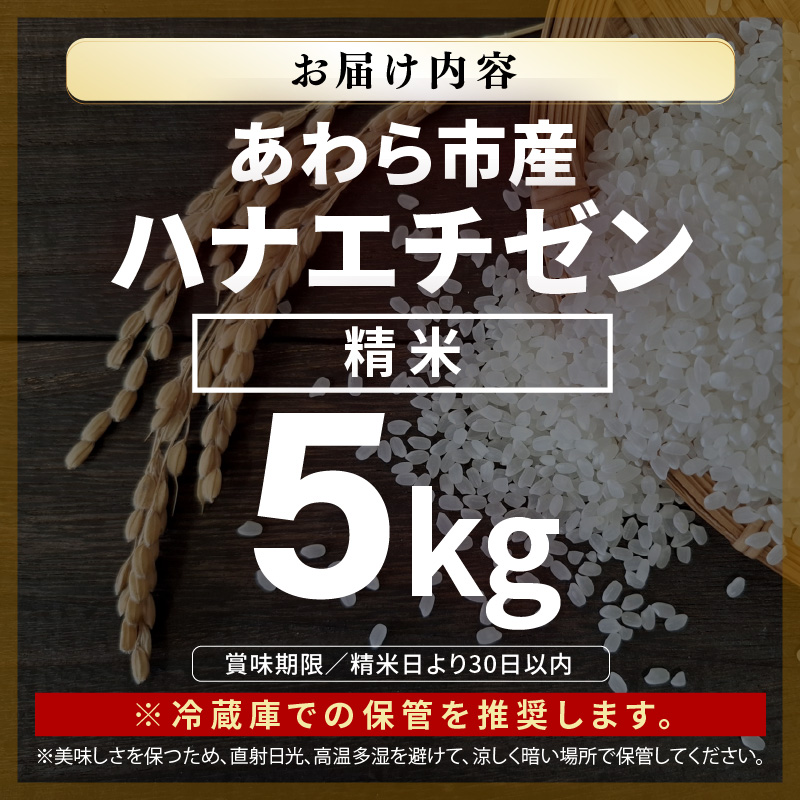 【先行予約】【令和8年産】ハナエチゼン 精米 5kg （長谷川農園）） / 北陸 福井県産 あわら市 ブランド米 白米 お米 コメ ※2026年10月より順次発送予定 [aw139-a003]