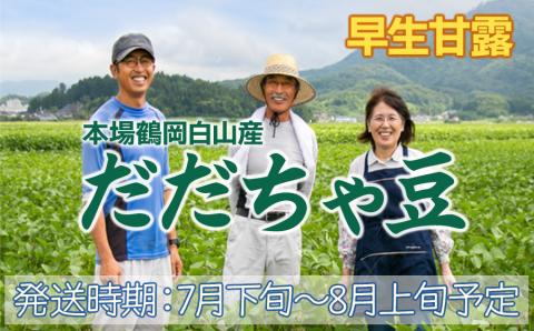 【令和6年産先行予約】本場鶴岡市白山産 冨樫藤左エ門のだだちゃ豆(早生甘露) 1.2kg　A06-614