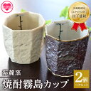 【ふるさと納税】＜焼酎霧島カップ 白・黒ペアセット(トンボ＆メダカ)＞ (白、黒・各1個) 焼酎を注ぐと内側に水辺で羽根を休めるトンボの文様がみえます！ 工芸品 とんぼ メダカ コップ【A-0403-sr】【紫麓窯】