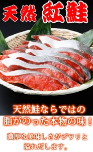 鮭 サケ 切り身 冷凍 おかず 人気 / 和歌山魚鶴仕込の天然紅サケ切身約2kg【uot401-4】