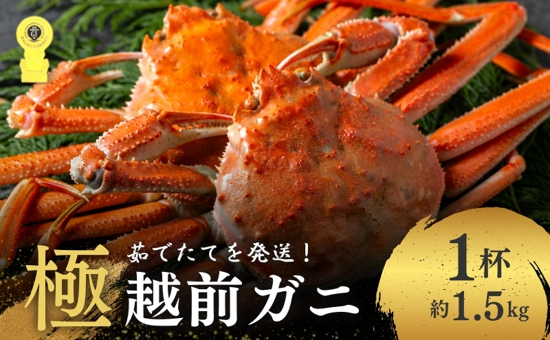 茹で越前ガニ 極！【期間限定】食通もうなる本場の味をぜひ、ご堪能ください。約1.5kg以上（極）越前がに 越前かに 越前カニ カニ ボイルガニ