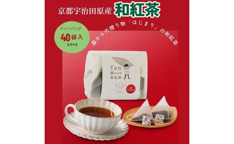 和紅茶 ティーバッグ 森からの和紅茶 はじまり 和紅茶【20袋入×2個組】