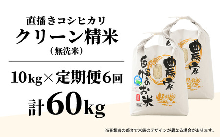 【令和7年産】定期便《6ヶ月連続お届け》ワルツ農場の直播き コシヒカリ クリーン精米（無洗米）10kg×6回 計60kg / お米 ご飯 白米 発送直前 精米 つや 艶 甘味 旨み あわら市産 福井県