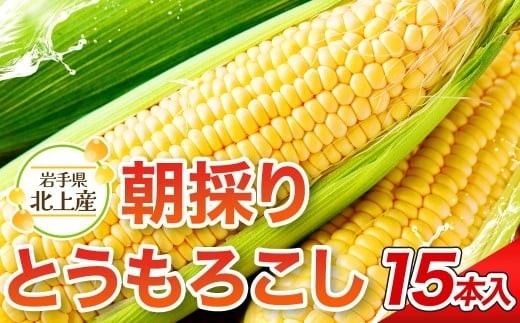 朝採りの甘～いとうもろこしをそのまま直送！