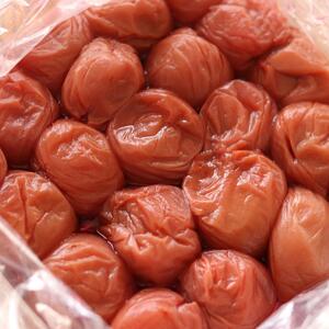 和歌山県紀州南高梅つぶれ  しそ漬け 訳あり A-209