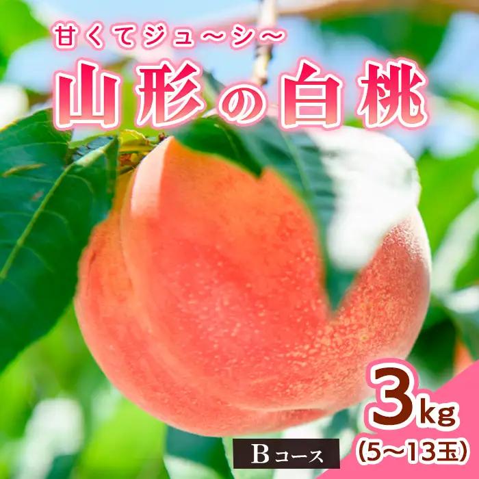 山形の白桃3kg(5～13玉)Bコース[柔らかくなる品種・果肉やや硬め] 【令和8年産先行予約】FS25-632 くだもの 果物 フルーツ 山形 山形県 山形市 2026年産