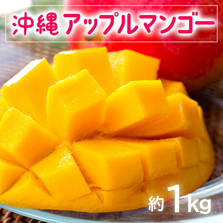 【ふるさと納税】【 先行予約 2026年 発送 】 お手頃 「沖縄 アップルマンゴー 」 1kg 沖縄県産 マンゴー アーウィンマンゴー 1キロ 国産 完熟マンゴー 果物 南国 くだもの フルーツ 完熟 夏 旬 お取り寄せ 産地直送 農家直送 甘い 濃厚 糸満市 送料無料
