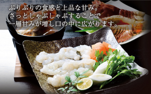 【12回定期便】ウチワエビしゃぶしゃぶA刺身・半身セット 600g【ひばり】[KAA233]/ 長崎 平戸 魚介類 海老 エビ ウチワエビ 季節限定 ご当地 グルメ 刺身 しゃぶしゃぶ 定期便