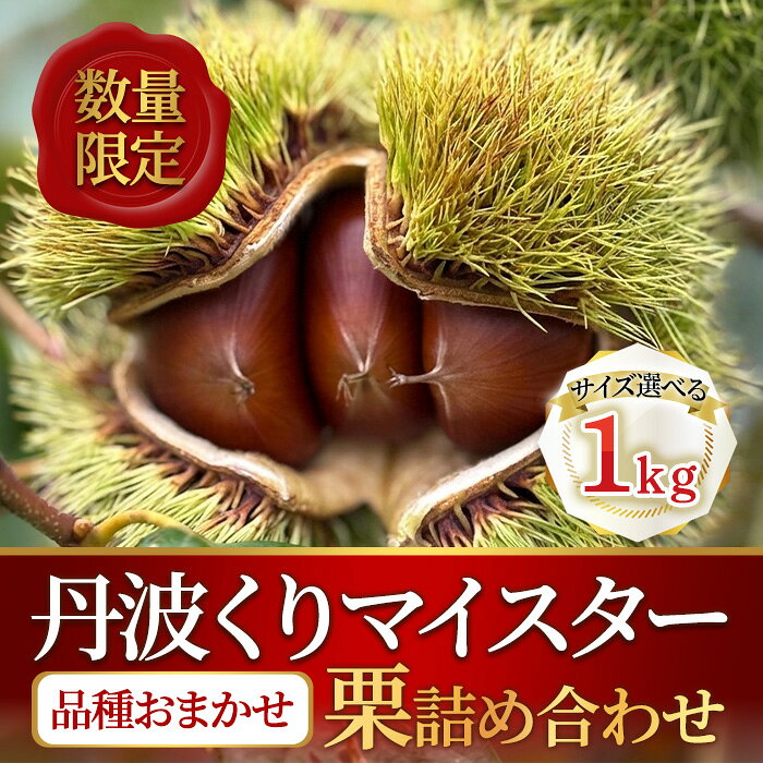 【ふるさと納税】＜先行予約受付中！2026年9月下旬以降順次発送予定！＞＜数量限定・選べるサイズ！＞丹波くりマイスターが育てた丹波栗1kg(1Lサイズor2Lサイズ/品種おまかせ) 栗 くり 丹波栗 詰め合わせ 秋 銀寄 筑波 大峰 美玖里 秋峰 紫峰 【fc-TR001】【福寿くり園】