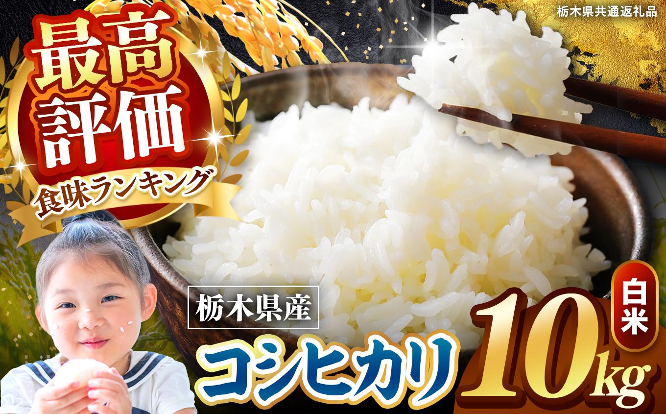 栃木県産 こしひかり 白米 10kg 2026年 先行予約 | 栃木県 矢板市 こしひかり 10kg | 22600円