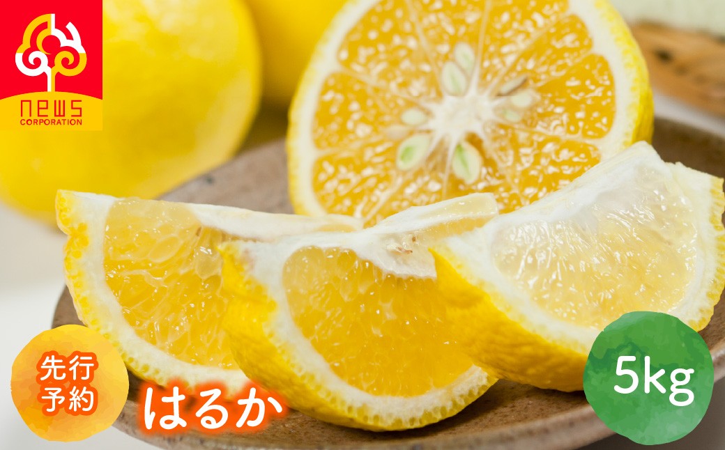 
                  【先行予約】はるか5kg（2027年1月下旬より順次発送）【ふるさと納税 人気 おすすめ ランキング はるか みかん ミカン オレンジ 5kg 果実 フルーツ 愛媛みかん 愛媛ミカン 愛媛オレンジ ニュウズ 愛媛県 伊方町 送料無料】IKTF036
                