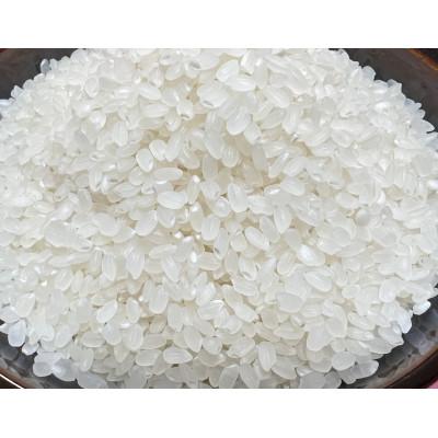 ふるさと納税 南砺市 南砺市蓑谷産コシヒカリ「龍女の舞」5kg　無洗米(精米)