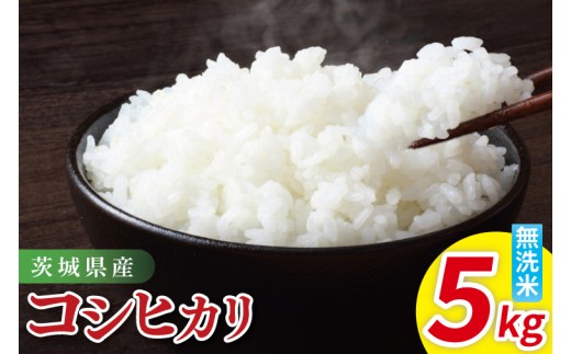 令和7年産 茨城県産コシヒカリ　無洗米　5kg｜ お米 米 ごはん 阿見町 茨城県 茨城県産 茨城県産米（85-14）