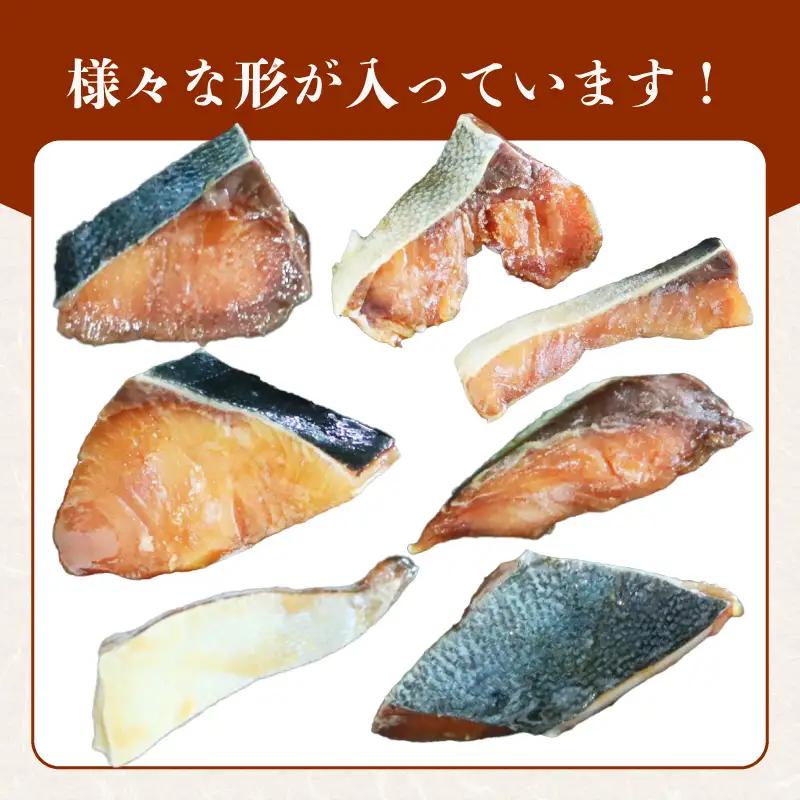 訳あり ぶりの若魚 はまち 切り身 1.5kg 加熱用 国産