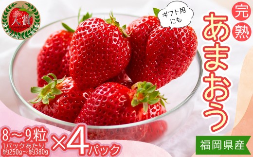 【先行予約／2027年出荷】暖家のいちご　ギフト用完熟あまおう（８粒～９粒）×4パック 4H2