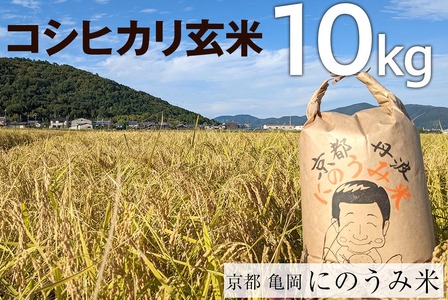 【令和7年産】玄米 コシヒカリ 玄米 10kg〈アグリにのうみ〉