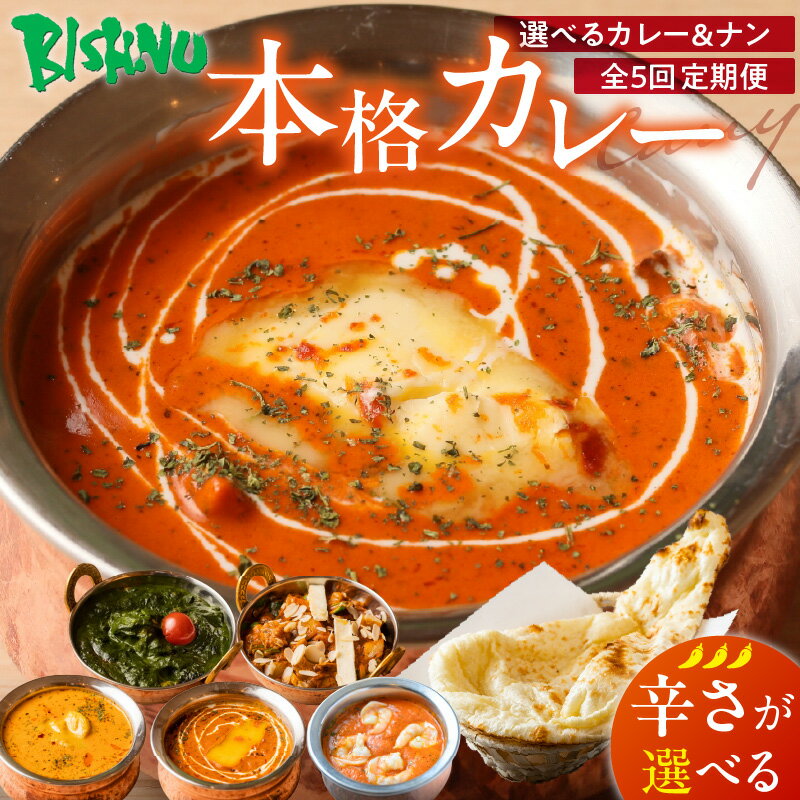 【ふるさと納税】定期便 5回 ビスヌ 本格カレー 選べる カレー チキン バターチキン 海老 豆 野菜 ほうれん草チキン ナン プレーン チーズ ガーリック パンプキンチーズ ほうれん草 辛さ マイルド 中辛 辛口 できたて 真空パック 冷凍 福岡県 久留米市 送料無料