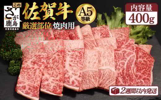 【7月配送】A5等級 佐賀牛 焼肉用 400g【厳選部位】ロース モモ ウデ バラ B-616