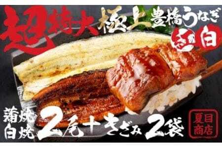 うなぎ 長蒲焼長白焼 特大2尾+きざみ うなぎ