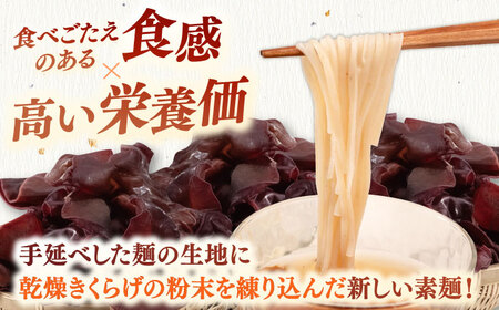 きくらげ麺(20束)　桂川町/オドラ株式会社[ADBA012]