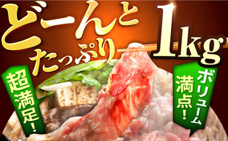 牛肉切り落とし 佐賀牛 計1kg 牛肉切り落とし[IAH006]