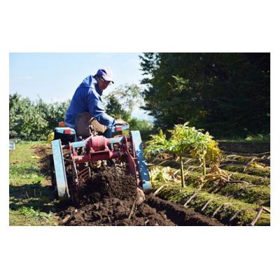 ふるさと納税 福島市 ことぶき農園　手作り生芋こんにゃくセット(ゆずみそ付)No.1885 |  | 01