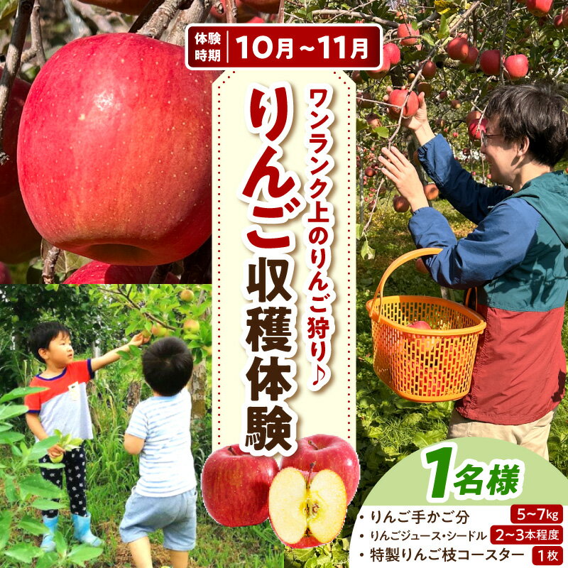 【ふるさと納税】収穫体験 りんご狩り 1組 青森りんご 【 セット内容 ： りんご 5kg 〜 7kg 程度 / りんごジュース 1本 / シードル 1本 / りんごの木の コースター / 林檎 収穫 】 青森県 五所川原市 リンゴ