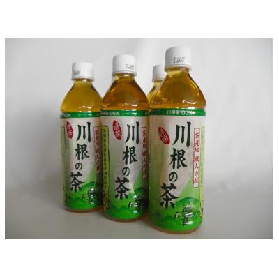 ふるさと納税 川根本町 「川根の茶」ペットボトル500ml×24本入り |  | 01