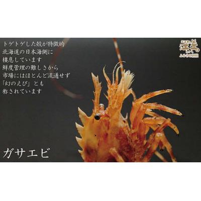 ふるさと納税 江差町 北海道産  希少な天然ガサエビ 500g |  | 02