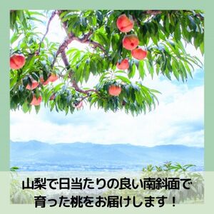 【2024年先行受付】山梨 萩原フルーツ農園の桃(白桃) 3.7kg(10～17個入)【配送不可地域：離島】【1477612】