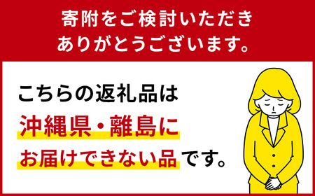 島田ひもかわ 20袋セット  ns036-010 麺 うどん 栃木県 那須塩原市