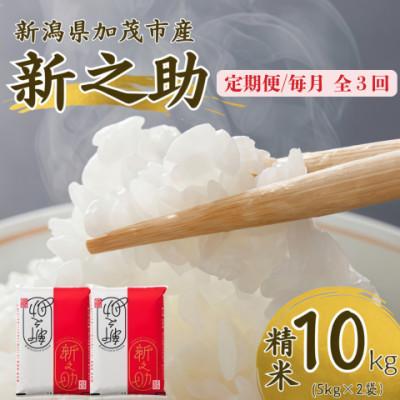 ふるさと納税 加茂市 【発送月固定定期便】新之助　精米10kg　2026年10月上旬より順次発送全3回