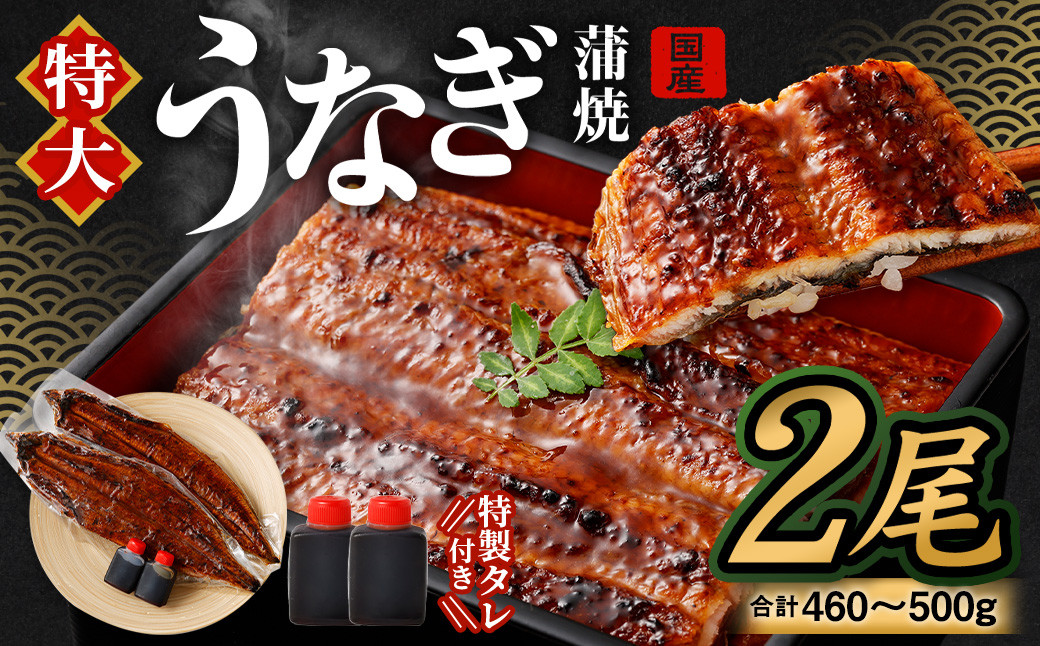 
            【2025年8月発送】国産 うなぎ 蒲焼 2尾 （460 〜 500g）と 特製タレ 2個 セット｜ 鰻 ウナギ 蒲焼き うなぎ蒲焼 セイロ蒸し せいろ蒸し タレ付 冷凍 大阪府 阪南市
          