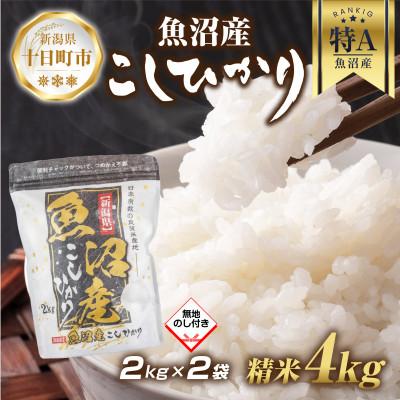 ふるさと納税 十日町市 【無地熨斗】魚沼産 コシヒカリ 2kg×2袋 計4kg(お米の美味しい炊き方ガイド付き)